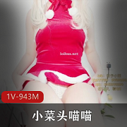 圣诞专辑：欢乐时光