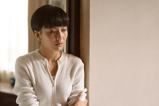 《平凡的世界：探索和谐的精品资源，无需回复》