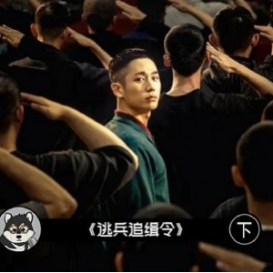 《2021最新：D.P逃兵追缉令》——豆瓣9.2分精彩动作犯罪剧