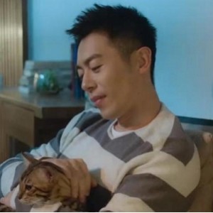 《爱情永恒：赖猫的狮子倒影14》