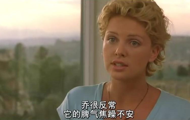 神奇的冒险：《无敌大猩猩》