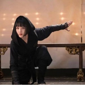 《中华英雄：风云再起》