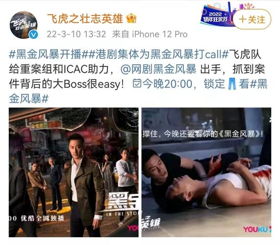 2022年热门犯罪动作片：《黑金风暴》4K版，国粤双语，内嵌中字，林峯、周秀娜、黄浩然主演