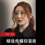 14部14V-2G视频：护士小美的爱情与责任