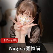 Nagisa魔物喵Fantia微博网红合集推特作品11Videos2.8G资源