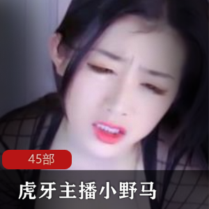 热卖虎牙主播小野马45部直播专用设备