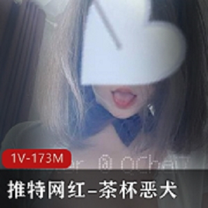 茶杯恶犬：最新作品1V173M展示，粉丝纵容的二次元擦边球