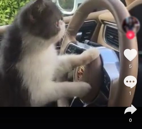 1080P蓝光画质经典动作片《正义的子弹.mkv》,从阿里云网盘下载,提取码:jq2N