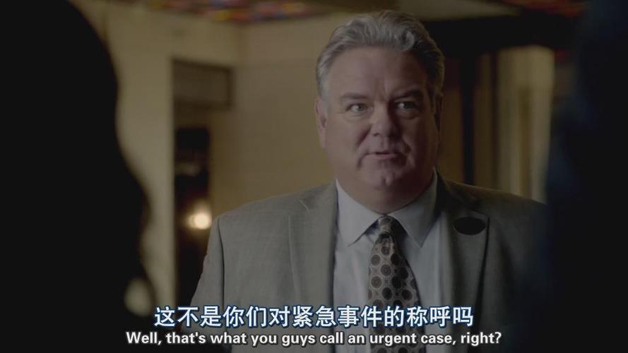 超感警探》:由大卫·纳特执导,SimonBaker、RobinTunney、TimKang和OwainYeoman主演,追捕RedJohn,50TB完整剧集,2