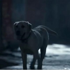 2022年3月11日：四部最新电影热映，科幻动作、浪漫喜剧、热血动作、犯罪悬疑，来影院感受最新电影的感动！2022年3月11日：四部最新电影热映，科幻动作、浪漫