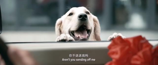 2022年3月11日：四部最新电影热映，科幻动作、浪漫喜剧、热血动作、犯罪悬疑，来影院感受最新电影的感动！2022年3月11日：四部最新电影热映，科幻动作、浪漫