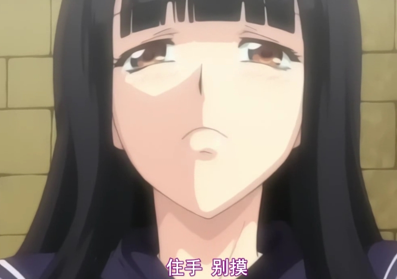 [转载搬运]+懲罰指導++无圣光中文+[3V+1G][百度盘]