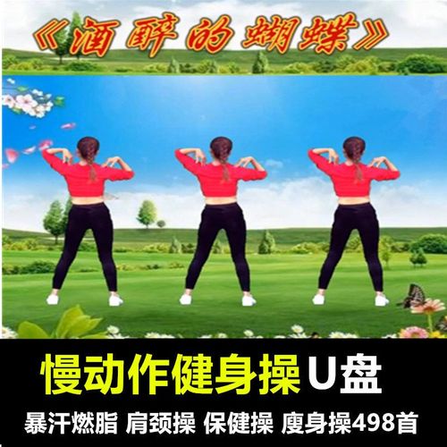 《在家轻松瘦身:有氧健身C完整高清视频》