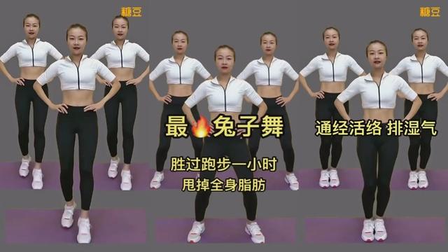 《在家轻松瘦身:有氧健身C完整高清视频》