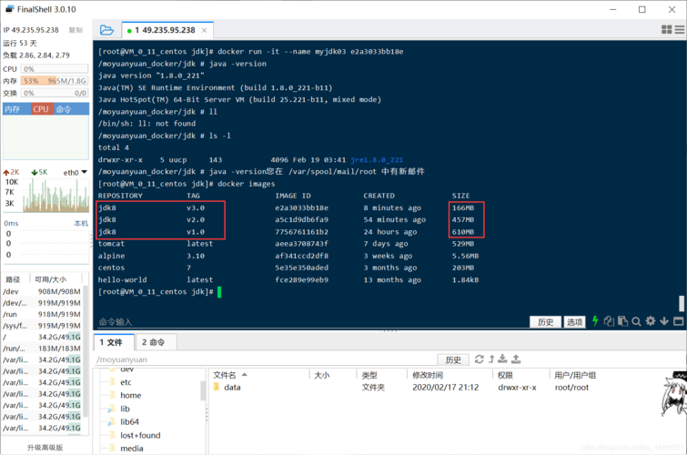 《暴君:以HTTPS从阿里云下载,联机体验经典横版动作游戏》