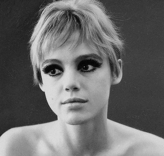 《威洛比小jie与闹鬼书店：神秘秘密改变人生》