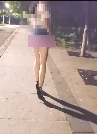 某推UP主：Slutdiary1_各种玩具教学+日常21部