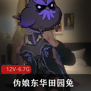 最新精品推荐某推国产CD系列红人伪娘东华田园兔