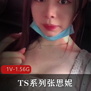 最新TS系列张思妮带棍逛街厕所起飞