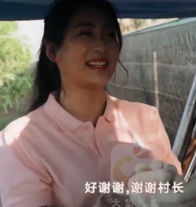 新款传媒收藏视频合集,27部百度ED2K资源,珍藏必备!