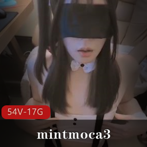 OnlyFans大雕TS合集mintmoca354V17G，女孩涂油自R
