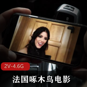 法国啄木鸟经典合集双D齐下2V4.6G，职场生存法则