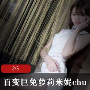 OnlyFans百变巨兔米妮chu自拍合集2G，风格多变，绝对值得一看