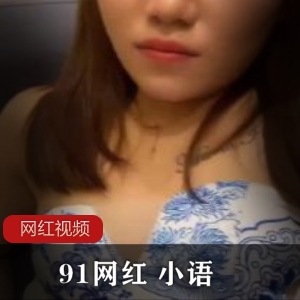 91网红平台丝滑袜子小语作品合集48V2.16G，满足你的渴望