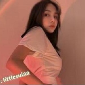 韩国onlyfans尤物互动有尺度合集Lilesulaa6.5G，颜值身材逆天