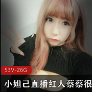 小妲己吃掉甜甜圈女神定制多部26G