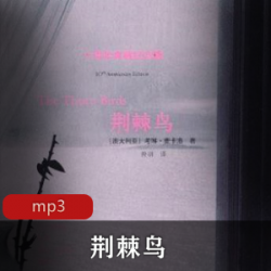 有声小说荆棘鸟播讲牟云董浩