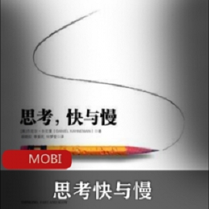 电子书《思考快与慢》[丹尼尔·卡尼曼]