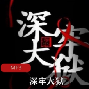 广播剧《深牢大狱》海岩[播讲：李野默