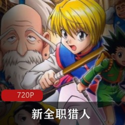 日本动漫《新全职猎人》高清国语中字版推荐