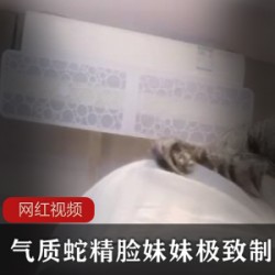 气质蛇精脸妹妹极致制服作品一部