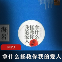 有声书拿什么拯救你我的爱人播讲张毅