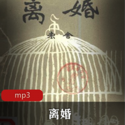 有声小说离婚播讲王波