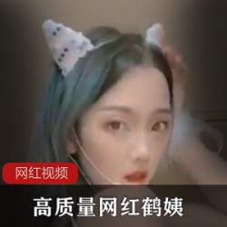 高质量网红鹤姨作品合集
