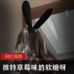 某推草莓味的软糖呀_妖魅兔女郎作品一部