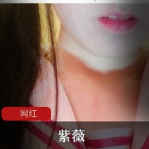 推特紫薇作品合集