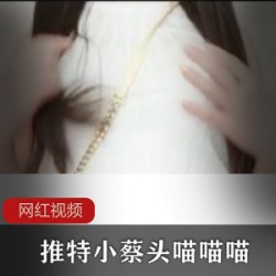 推特小蔡头喵喵喵_8月新作绿色职场作品一部