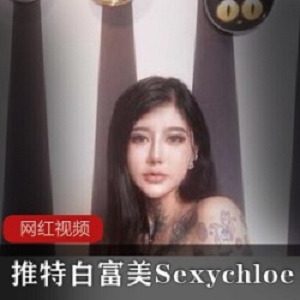 推特白富美Sexychloe作品合集