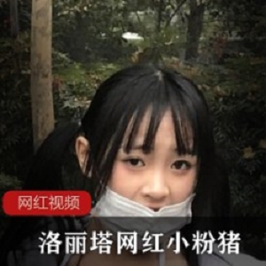 洛丽塔网红小粉猪作品两部