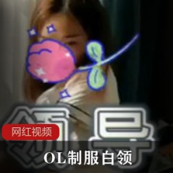 OL制服白领作品一部