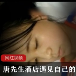 唐先生酒店遇见自己的学妹作品一部