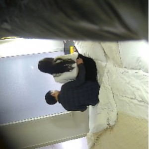 乐橙高颜值泄露85V107G诱人丰满