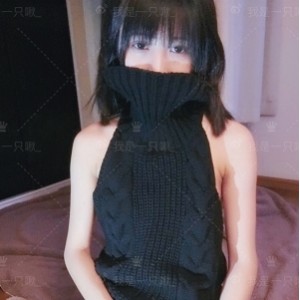 INS布丁大法诱惑珍藏133套40.5G