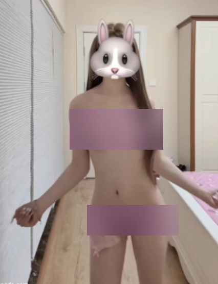 热舞平台乌萨奇小狗热舞合集29部2.23G