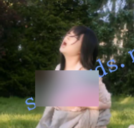 私密视界阿黑颜噗噗妖娆长篇视频3部5.06GB