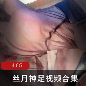 推特丝月神足系列合集4.6G黑丝の极致诱惑